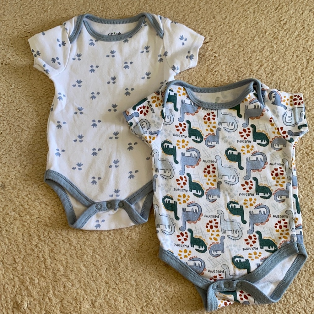 2 Chick Pea dinosaur design onesies for 12 month baby boy.
